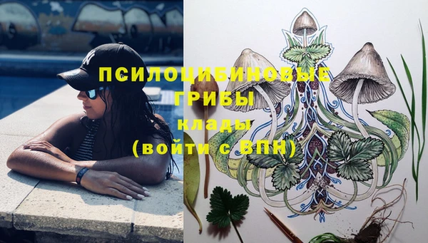 apvp Арсеньев