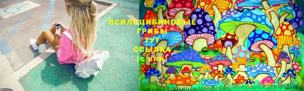 apvp Арсеньев