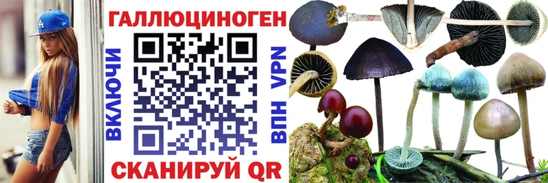 Псилоцибиновые грибы Magic Shrooms купить наркоту Островной